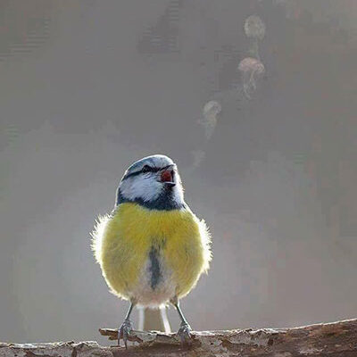 406390506_10161439109523899_8188587984105665749_n